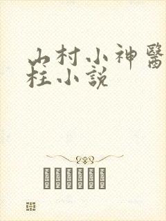 山村小神医王铁柱小说