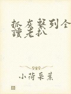 抓灰系列全文阅读老扒