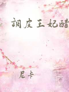 调皮王妃醋王爷