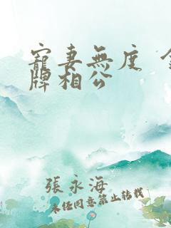 宠妻无度  金牌相公