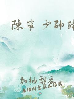 陈宁 少帅归来