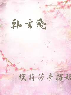 韩玄飞