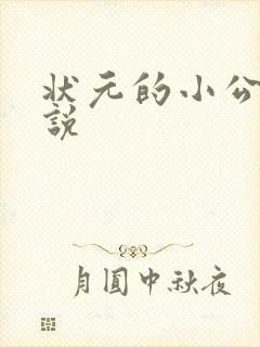 状元的小公主小说