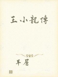 王小龙传
