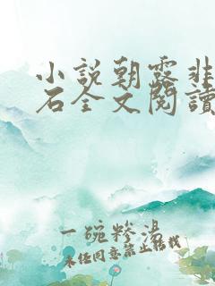 小说朝露非木非石全文阅读