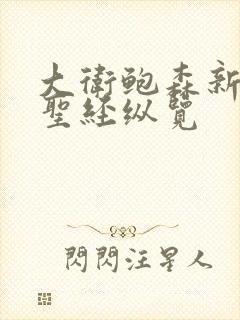 大卫鲍森新旧约圣经纵览