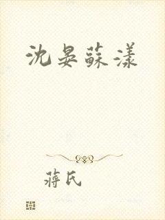 沈晏苏漾