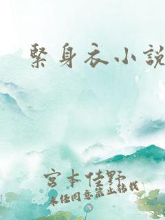 紧身衣小说