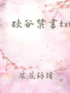 硅谷禁书txt