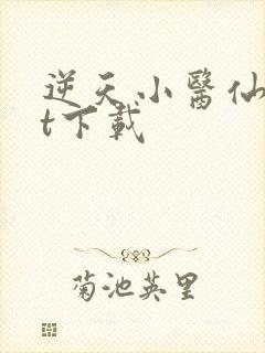 逆天小医仙txt下载