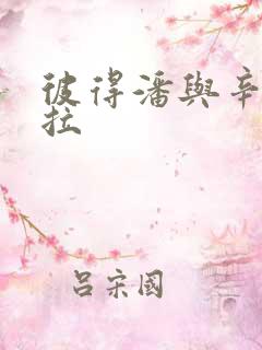 彼得潘与辛德瑞拉