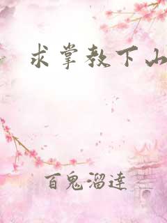 求掌教下山