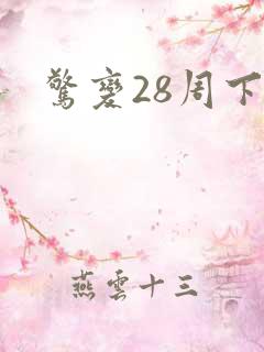 惊变28周下载