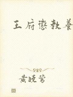 王府惩教养日常