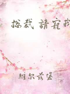 总裁 请宠我