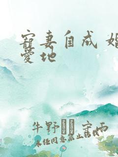 宠妻自成 婚天爱地