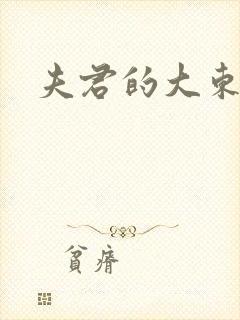 夫君的大东西