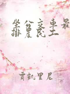 坐公交车最后一排农民工
