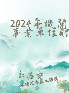 2024年机关事业单位财务人员工作总结