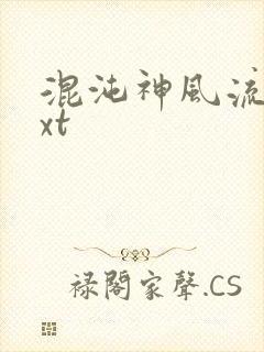 混沌神风流史txt