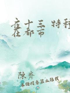 夜十三 特种兵在都市