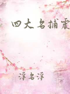 四大名捕震关东