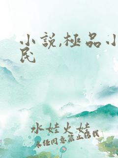 小说,极品小农民