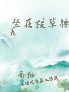 坐在校草腰上动h