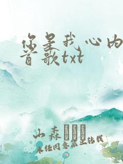 你是我心内的一首歌txt