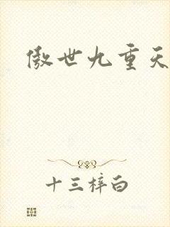 傲世九重天小说