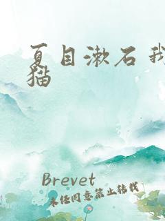 夏目漱石 我是猫