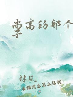 尚高的那个臭小子