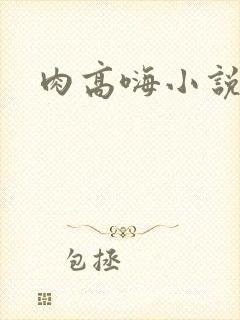 肉高嗨小说