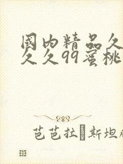 国内精品久久久久久99蜜桃