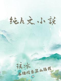 纯h文小说