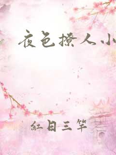 夜色撩人小说