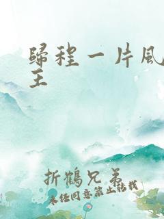 归程一片风双男主
