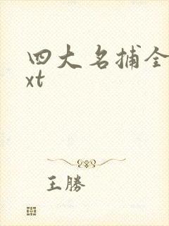 四大名捕全集txt