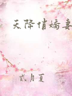 天降俏娇妻