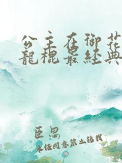 公主在御花园吃龙棍最经典的一句