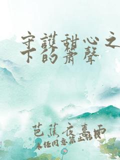 守护甜心之月光下的箫声