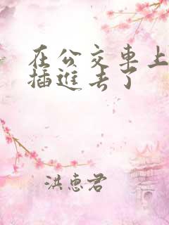 在公交车上被人插进去了