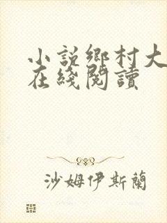 小说乡村大凶器在线阅读