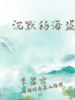 沉默的海盗船