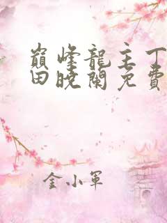 巅峰龙主丁长顺田晓兰免费阅读