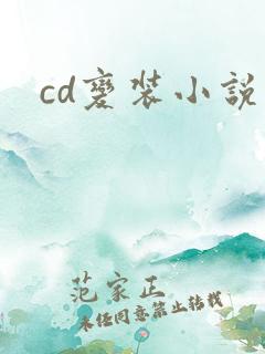 cd变装小说