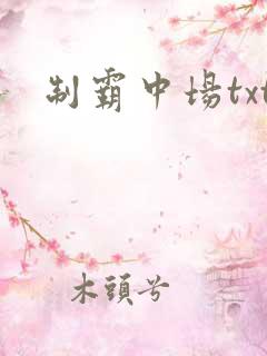 制霸中场txt