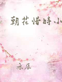 朝花惜时小说