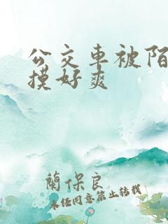 公交车被陌生人摸好爽