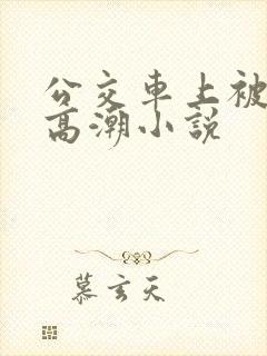 公交车上被摸到高潮小说